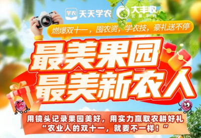 丰农控股2025年 &ldquo;最美果园&rdquo;&ldquo;最美新农人&rdquo; 评选活动启动，助力农业风采展示