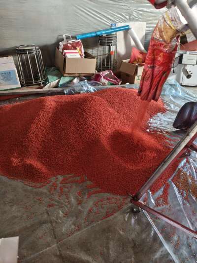 四冠包衣拌种，防虫防病壮苗增产。