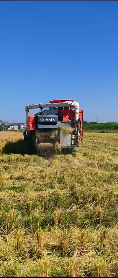 惠州基地，无人拖拉机收水稻了。