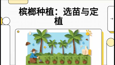 第01节：选苗与定植&mdash;&mdash;&ldquo;苗好一半收，底肥定千秋&rdquo;课程：《槟榔种植：从不懂到精通的10堂必修课》