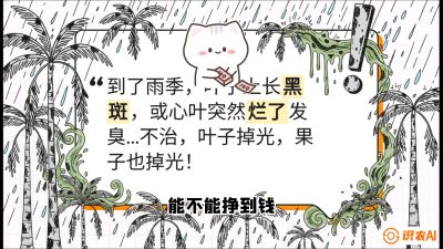 第05节：常见真菌病害&mdash;&mdash;&ldquo;炭疽与烂心，早防值千金&rdquo;《槟榔种植：从不懂到精通的10堂必修课》