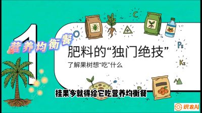 第07节：科学施肥&mdash;&mdash;&ldquo;氮磷钾配好，树壮果不倒