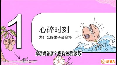 第08节：微量元素与保果&mdash;&mdash;&ldquo;补硼又补钙，果子不裂坏&rdquo;《槟榔种植：从不懂到精通的10堂必修课》