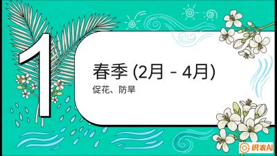 第10节：周年农事日历&mdash;&mdash;&ldquo;跟着节气走，丰产在手头&rdquo;《槟榔种植：从不懂到精通的10堂必修课》
