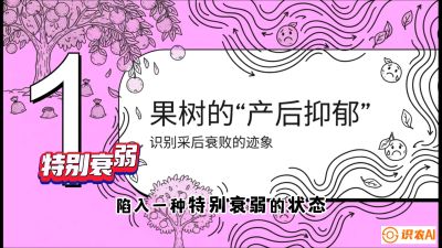 第2节：【冬肥策略】采后&ldquo;月子肥&rdquo;：大小年的精准干预术，课程：《柑橘底肥&ldquo;翻身账&rdquo;：从改土到高产的实战全书》