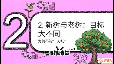 第3节：【春肥策略】开春底肥：新树&ldquo;扩版图&rdquo;，老树&ldquo;点引擎&rdquo;，课程：《柑橘底肥&ldquo;翻身账&rdquo;：从改土到高产的实战全书》
