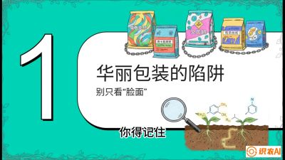 第4节：【黄金配方】底肥里的&ldquo;铁三角&rdquo;与&ldquo;微量雷区&rdquo;课程：《柑橘底肥&ldquo;翻身账&rdquo;：从改土到高产的实战全书》