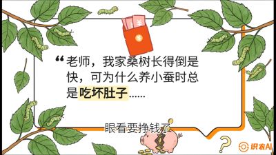第01节：不仅仅是树&mdash;&mdash;顶级品种选配策略，课程：《桑海淘金：桑树高产与蚕桑安全进阶实战课》