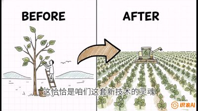 第02节：把树变成草&mdash;&mdash;&ldquo;草本化密植&rdquo;技术，课程：《桑海淘金：桑树高产与蚕桑安全进阶实战课》