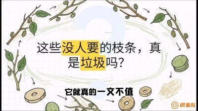 第12节：变废为宝&mdash;&mdash;循环农业实操，课程：《桑海淘金：桑树高产与蚕桑安全进阶实战课》