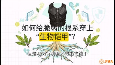 第三节：国产榴莲突围战：根系堡垒，菌根微生态构建与黄金定植窗口，课程：《国产榴莲突围战：从泰国经验到中国实操的8堂必修课（高阶实战版）》