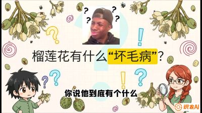 第六节：榴莲的午夜战事，夜间授粉战与花果期避雨策略，课程：《国产榴莲突围战：从泰国经验到中国实操的8堂必修课（高阶实战版）》