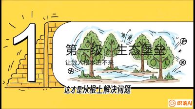 第七节：榴莲防御战：病虫害三级立体防控，疫霉菌与虫害的立体封锁线，课程：《国产榴莲突围战：从泰国经验到中国实操的8堂必修课（高阶实战版）》