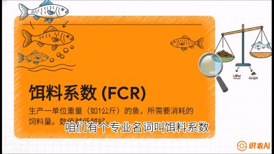 第五节：【高端单品&middot;鳜鱼】&ldquo;饲料鳜&rdquo;技术：打破吃活饵的高成本魔咒，课程：《黄金鳞甲：2025中国淡水鱼高效养殖实战营》