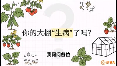 第2节（解毒篇）： 大棚里的&ldquo;红白绿&rdquo;警报&mdash;&mdash;读懂土壤盐渍化的求救信号，课程：《揭秘土壤的秘密：让土地帮你赚钱》#识农AI