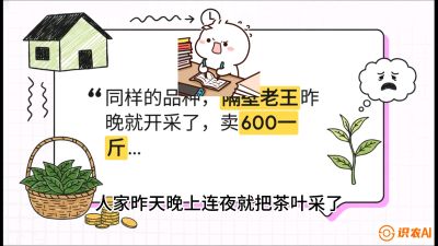 第01节（抢早篇）：与老天爷抢饭吃：如何利用&ldquo;温差阈值&rdquo;让头采茶提前5天上市？，课程：《茶金时代：从&ldquo;看天吃饭&rdquo;到&ldquo;精准控局&rdquo;的茶叶高产提质实战课》