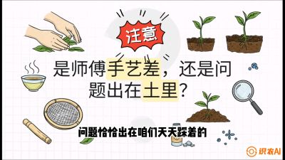 第02节（土肥篇）：告别&ldquo;苦涩水味&rdquo;：揭秘&ldquo;碳氮比&rdquo;调控术，种出自带兰花香的好茶底，课程：《茶金时代：从&ldquo;看天吃饭&rdquo;到&ldquo;精准控局&rdquo;的茶叶高产提质实战课》