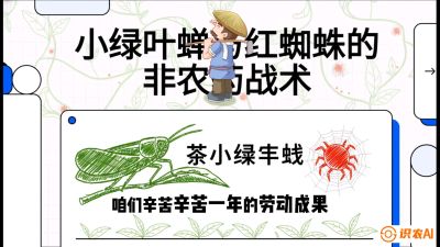 第03节（虫害篇）：看不见的吸血鬼：小绿叶蝉与红蜘蛛的&ldquo;非农药&rdquo;团灭战术（抗性治理），课程：《茶金时代：从&ldquo;看天吃饭&rdquo;到&ldquo;精准控局&rdquo;的茶叶高产提质实战课》