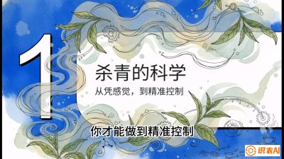 第05节（加工篇）：决胜2分钟：用&ldquo;数字温控&rdquo;破解杀青不匀，复刻大师级手工口感，课程：《茶金时代：从&ldquo;看天吃饭&rdquo;到&ldquo;精准控局&rdquo;的茶叶高产提质实战课》