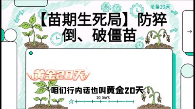 第2节：【苗期生死局】防猝倒、破僵苗，决定后期产量的&ldquo;黄金20天&rdquo;，课程：《辣椒种植实战特训营，从工业辣椒到精品小米辣，教你如何把&ldquo;草&rdquo;种成&ldquo;金&rdquo;》