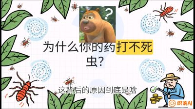 第4节：【虫害歼灭战】打不死的蓟马、隐形的茶黄螨：抗性时代的&ldquo;混配绝杀&rdquo;，课程：《辣椒种植实战特训营，从工业辣椒到精品小米辣，教你如何把&ldquo;草&rdquo;种成&ldquo;金&rdquo;》