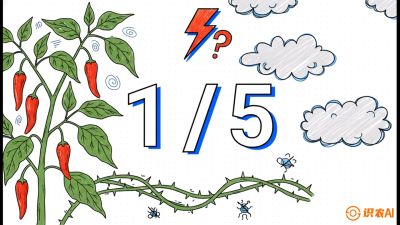 第6节：【花果爆发术】落花落果的五大元凶，与&ldquo;三喷一保&rdquo;坐果黑科技，课程：《辣椒种植实战特训营，从工业辣椒到精品小米辣，教你如何把&ldquo;草&rdquo;种成&ldquo;金&rdquo;》