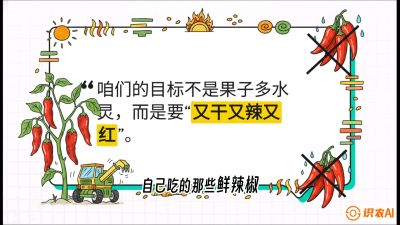 第7节：【工业辣椒专场】追求极致辣度！干物质提升与机械化采收的&ldquo;催红秘籍&rdquo;，课程：《辣椒种植实战特训营，从工业辣椒到精品小米辣，教你如何把&ldquo;草&rdquo;种成&ldquo;金&rdquo;》