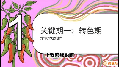 第8节：【小米辣线椒专场】颜值即正义！防花皮、防炭疽，打造收购商抢着要的&ldquo;精品果&rdquo;，课程：《辣椒种植实战特训营，从工业辣椒到精品小米辣，教你如何把&ldquo;草&rdquo;种成&ldquo;金&rdquo;》