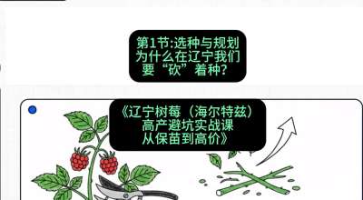 第一节： 选种与规划&mdash;&mdash;为什么在辽宁我们要&ldquo;砍&rdquo;着种？，课程：《辽宁树莓（海尔特兹）高产避坑实战课：从保苗到高价》