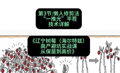 第三节： 懒人修剪法&mdash;&mdash;&ldquo;一推光&rdquo;平茬技术详解，课程：《辽宁树莓（海尔特兹）高产避坑实战课：从保苗到高价》
