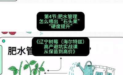 第四节： 肥水管理&mdash;&mdash;怎么喂出&ldquo;石头果&rdquo;（硬度提升），课程：《辽宁树莓（海尔特兹）高产避坑实战课：从保苗到高价》