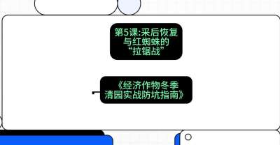 第5节：【柑橘清园】采后恢复与红蜘蛛的&ldquo;拉锯战&rdquo;，课程：《经济作物冬季清园&middot;实战防坑指南》#识农AI