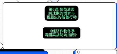 第6节：【葡萄清园】绒球期的博弈与画眉虫的&ldquo;斩首行动&rdquo;，课程：《经济作物冬季清园&middot;实战防坑指南》#识农AI