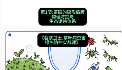 第01节：茶园的&ldquo;隐形盾牌&rdquo;&mdash;&mdash;物理防控与生态诱杀体系，课程：《茗茶卫士&mdash;&mdash;茶叶病虫害绿色防控实战课》#识农AI