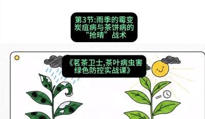 第03节：雨季的霉变&mdash;&mdash;炭疽病与茶饼病的&ldquo;抢晴&rdquo;战术，课程：《茗茶卫士&mdash;&mdash;茶叶病虫害绿色防控实战课》#识农AI