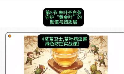 第05节：朱叶齐白茶&mdash;&mdash;守护&ldquo;黄金叶&rdquo;的颜值与蜡质层（重点），课程：《茗茶卫士&mdash;&mdash;茶叶病虫害绿色防控实战课》#识农AI