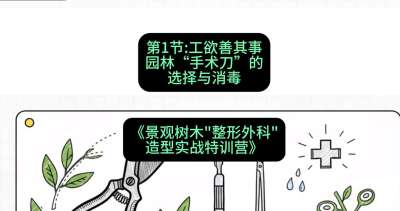 第01节：工欲善其事&mdash;&mdash;园林&ldquo;手术刀&rdquo;的选择与消毒，课程：《景观树木&ldquo;整形外科&rdquo;造型实战特训营》#识农AI