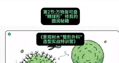 第02节：万物皆可盘&mdash;&mdash;&ldquo;精球形&rdquo;修剪的圆润秘籍，课程：《景观树木&ldquo;整形外科&rdquo;造型实战特训营》#识农AI