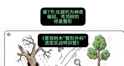 第07节：化腐朽为神奇&mdash;&mdash;偏冠、秃顶树的修复整形，课程：《景观树木&ldquo;整形外科&rdquo;造型实战特训营》#识农AI