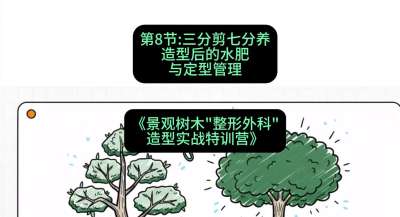 第08节：三分剪七分养&mdash;&mdash;造型后的水肥与定型管理，课程：《景观树木&ldquo;整形外科&rdquo;造型实战特训营》#识农AI